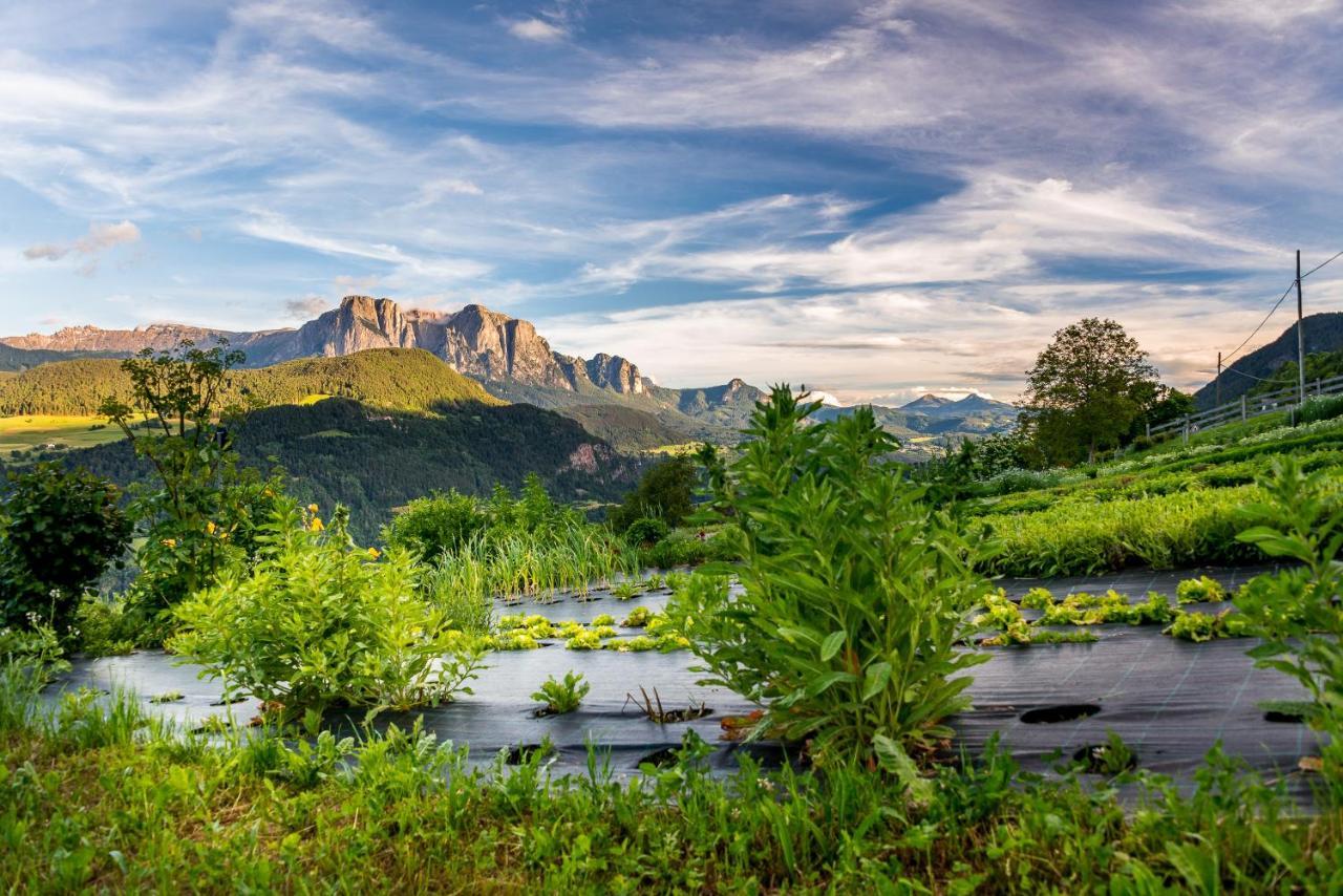 Oberpalwitterhof Lägenhet Barbiano  Exteriör bild